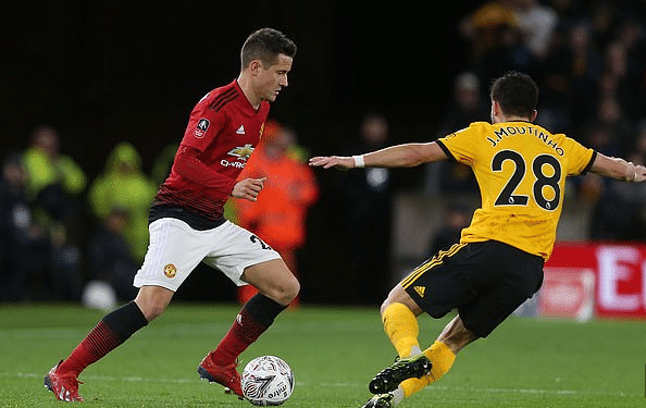 入了一个新 入了一个新