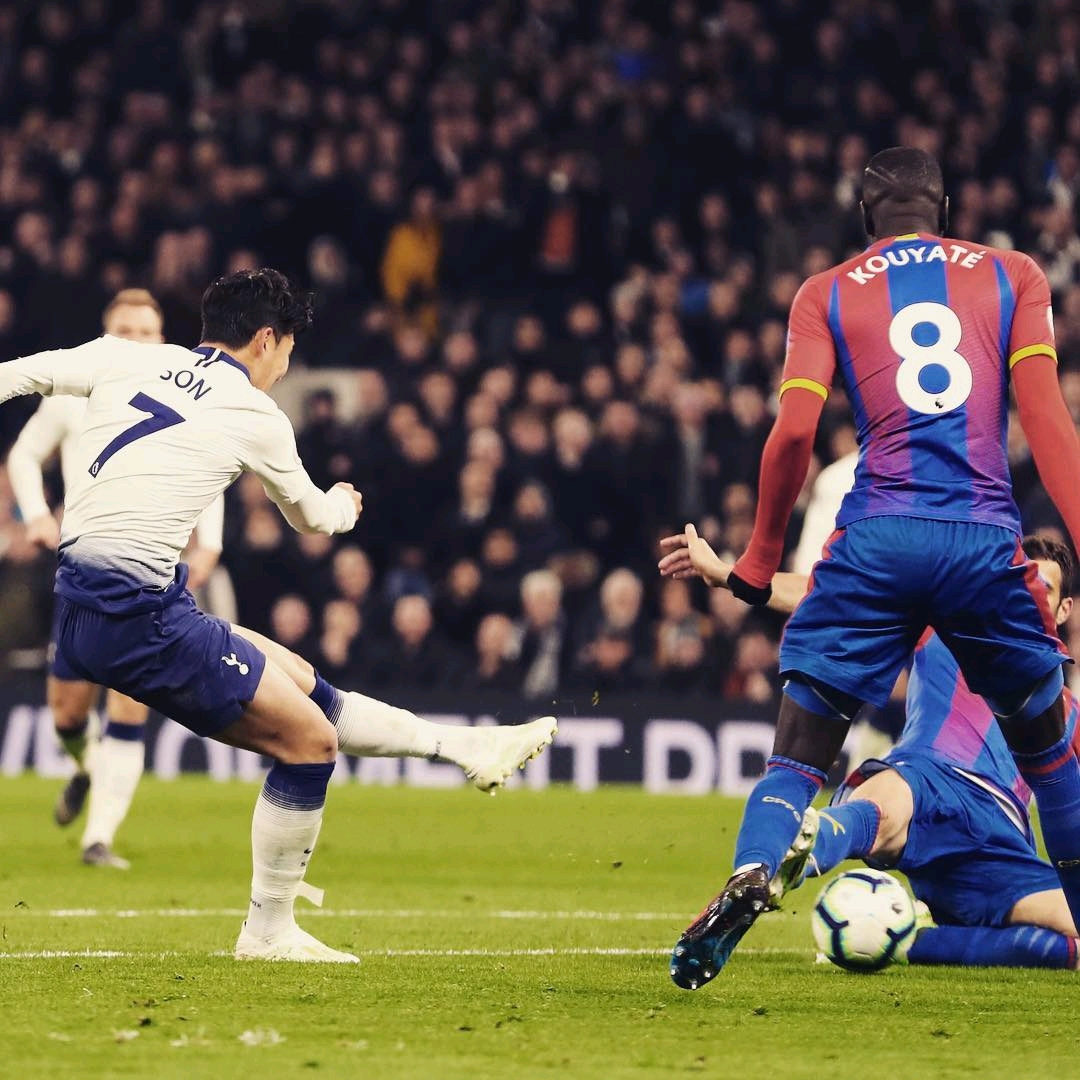 我们能获得 我们能获得